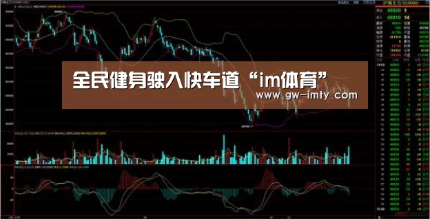 im体育下载