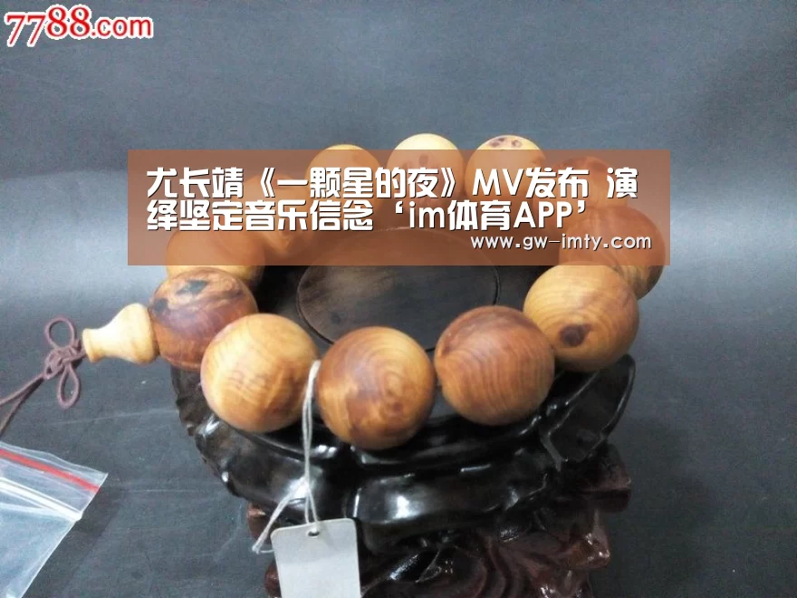im体育APP