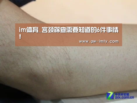 im体育下载