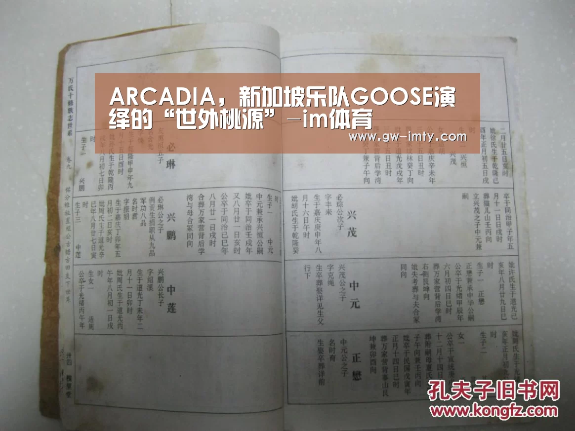 im体育投注